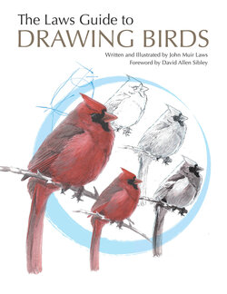 The-Laws-Guide-to-Drawing-Birds-John