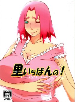 (C84) [Pucchu (Echigawa Ryuuka)] Sato Ichiban no! | Best in the Village! (Naruto) [German] {schmidtsst}