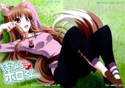 (C74) [Mahirutei (Izumi Mahiru)] Horon Hororon (Spice and Wolf) [Russian] {Nik and Leri}