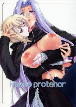 (C71) [Shimoyakedou (Ouma Tokiichi)] Papilio protenor (Fate/hollow ataraxia) [Korean]