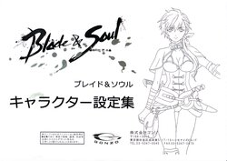 Blade & Soul Settei + Color Settei