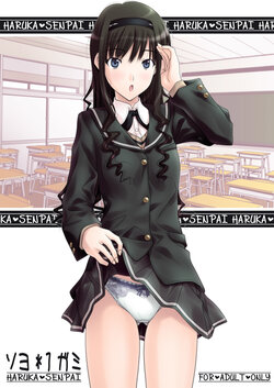 [IRODORI (SOYOSOYO)] Haruka Senpai no Soushuuhen Bon (Amagami) [Digital]