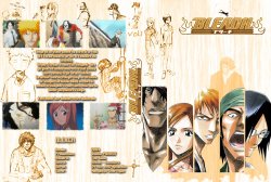 Bleach DVD Covers
