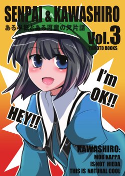 (C84) [Yamotodou Rakugakiichi (yamoto)] SENPAI & KAWASHIRO Vol. 3 (Touhou Project)