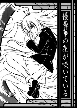 (C75) [Kuroshura no Tabiji (Iseki)] Udonge no Hana ga Saite iru (Touhou Project)