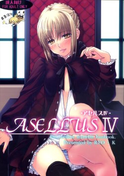 (C73) [Wankotei (Ryo.K)] ASELLUS IV (Fate/hollow ataraxia) [Chinese] [黑条汉化]