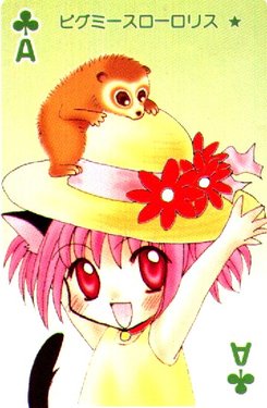 [Nakayoshi] Tokyo Mew Mew Red Data Animal Playing Cards