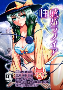 (C86) [+5 (Taka♂)] Seikan Paranoia (Touhou Project) [Chinese] [CE家族社]