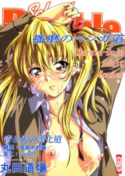 (C67) [MARUTA-DOJO (MARUTA)] School Rumble Harima no Manga Michi (School Rumble) [Chinese] [漢化道]