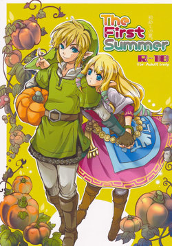 (HaruCC18) [Usagi paradise (Misa)] Hajimete no Natsu. ~The First Summer~ (The Legend of Zelda: Skyward Sword) [Portuguese-BR]