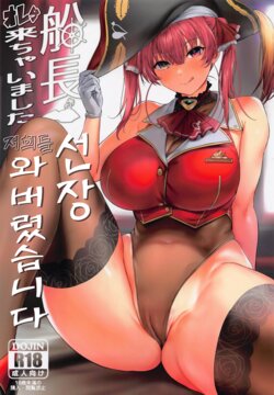 (COMIC1☆20) [Kachiwari Jikkenshitsu (Shino)] Senchou Orera Kichaimashita | 선장 저희들 와버렸습니다 (Houshou Marine) [Korean]