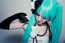 Miku Hatsune - Camellia