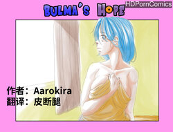 [Aarokira] Bulma's Hope EP1【皮断腿个人汉化】