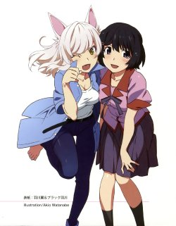 Monogatari Series Heroine Book Volume 1 Tsubasa Hanekawa