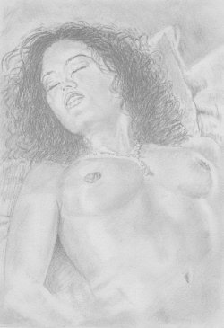 Erotic Art Collector 0233 STEVIE WYDDER