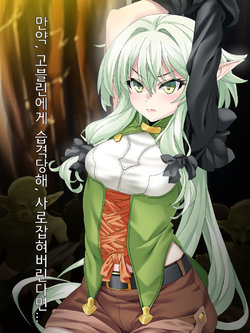 [Poncho!] Moshi, Kooni ni Osoware, Tsukamaeraretara... | 만약, 고블린에게 습격당해, 사로잡혀버린다면... (Goblin Slayer) [Korean]