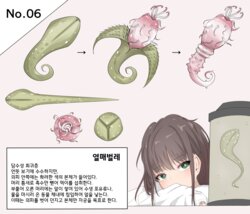 Mushi Research Report No.6 [Korean]