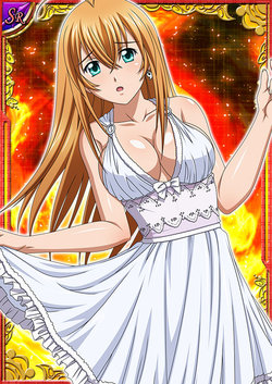 Ikkitousen Cards Coleccyion  Sonsaku Hakufu set