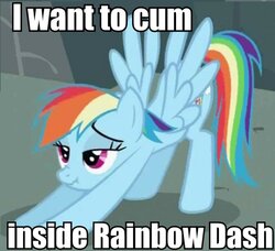 I Want To Cum Inside Ranbow Dash (IWTCIRD)