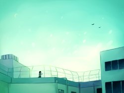 Wallpapers and Larger images.