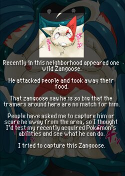 Nasu - Zangoose Day Set [English]