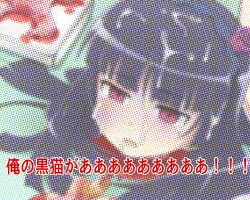 [MJN] Ore no Kuroneko ga Zansatsu Sareta. (Ore no Imouto ga Konna ni Kawaii Wake ga Nai)