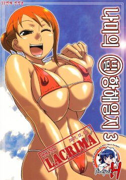 (C72) [ACID-HEAD (Murata.)] Nami no Ura Koukai Nisshi 3 (One Piece) [Korean] [Project H + LACRIMA]