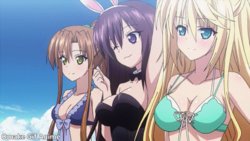 Absolute Duo Gifs