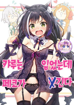 [Utsura Uraraka (Eretto)] Kyaru wa kirukedo peco nugasu.｜캬루는 입었는데 페코가 벗긴다 (Princess Connect! Re:Dive) [Korean] [팀☆데레마스]