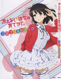 Saenai Heroine no Sodatekata Complete Book