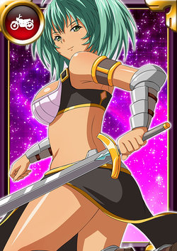 Ikkitousen Cards Coleccyion  Ryofu Housen set