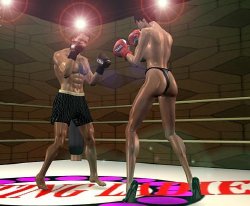 Great 3d boxing match