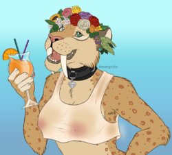 Artist - Incorgnito