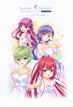 Summer pockets reflection blue visual fanbook