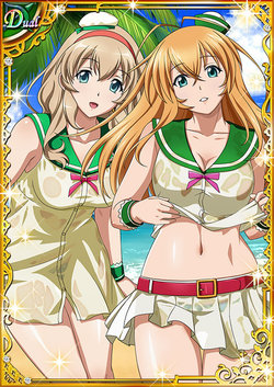 Ikkitousen Cards Coleccyion  Sonken chūbō set