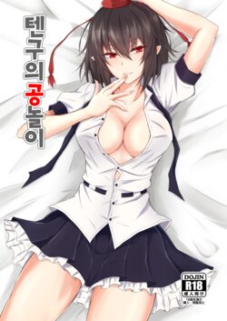 [pikuchi-ya (Piro)] Tengu no Tama Asobi | 텐구의 공놀이 (Touhou Project) [Korean] [Digital]