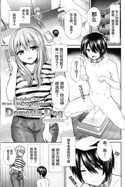 [Piririnegi] Domestic Dog (Girls forM Vol. 11) [Chinese] [并非老四汉化]