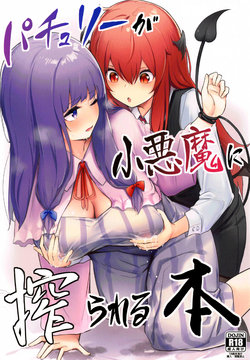 (AC2) [Bochi Bochi no Ki (Borusiti)] Patchouli ga Koakuma ni Shiborareru Hon | 파츄리가 소악마한테 짜이는 책 (Touhou Project) [Korean]