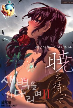 (C83) [Bread & Cake (Kuon Michiyoshi)] Akatsuki wo Matte 2 (Berserk) [Korean]