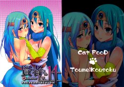 (C82) [Cat Food & Toumei Kousaku (NaPaTa & Chika)] Kenja-san Level 14 | Miss Sage Level 14 (Dragon Quest III) [English] [4dawgz + FUKE]