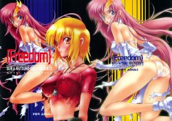 (C64) [Hotel California (Natsuno Suika)] Freedom (Kidou Senshi Gundam SEED)