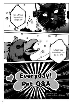 (C84) [Rosebud (irua)] And Then, To You (Everyday! Pet Q&A) (Touhou Project) [English] {divulge}