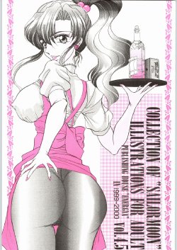 (CR27) [ENERGYA (Russia no Dassouhei)] COLLECTION OF -SAILORMOON- ILLUSTRATIONS FOR ADULT Vol. 4.5 (Bishoujo Senshi Sailor Moon)