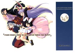 (C67) [Haniwa no Demise (Haniwa)] Tsuki no Usagi wa, Nani Mite Haneru | Moon Rabbit, What Do You Watch When You Jump? (Touhou Project) [English] [Adonic Meki]