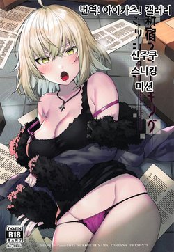 (COMIC1☆15) [Sukoburuyama (Itohana)] Shinjuku Sneaking Mission (Fate/Grand Order) [Korean] [아이카츠! 갤러리]