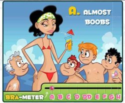 Bra-Meter