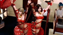 Christmas gifts(Dynasty Warriors9)