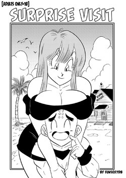 [FunsexyDB] Surprise Visit (Dragon Ball Z) [Ongoing]
