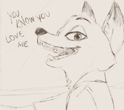 I love you too (Zootopia)