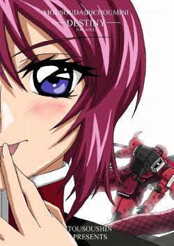 (C67) [TOUSOUSHIN (Spanking Samurai)] Mousou Dairi Chou Mini Destiny (Gundam SEED DESTINY)